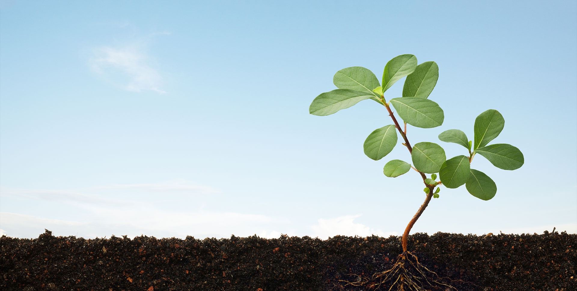 ÀûÀ´¹ú¼ÊÀÏÅÆ¹ÙÍø(Öйú)W66×î¸øÁ¦µÄÀÏÅÆ